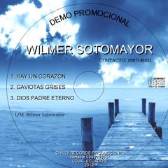 Wilmer Sotomayor - HAY UN CORAZÓN