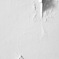 Believer/Law - The Task at Hand