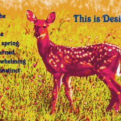 Desire  (Tim Millikan Mix)