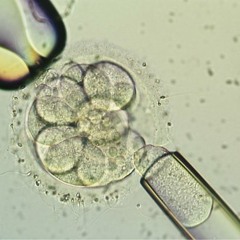 Assisted fertilization