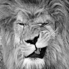 Fall in the trap vol. 1