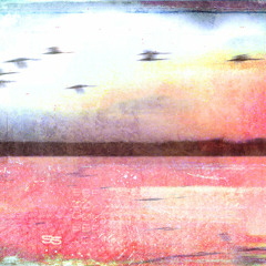 Arrival of the Birds (Piano)