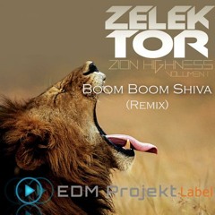 BOOM BOOM SHIVA - zelektor remix
