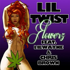 Lil' Twist vs. Datsik - Bonafide Hustler Flowerz (Ft. Lil Wayne and Chris Brown)