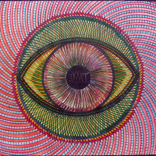 "Soul the Seek"