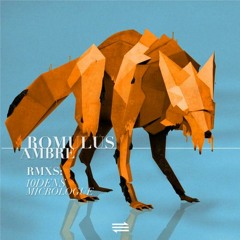 Romulus - Ambre (10dens liveset remix)