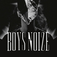 Boys Noize - What You Want (Dirty Disco Youth Remix) FREE DL IN THE DESCRIPTION