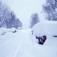 Snow sometime cries