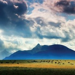 Buffalo Hunter - J.F.K. feat. Johnny Cash (Original Mix)