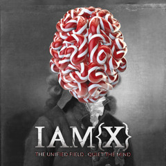 IAMX - The Unified Field (Faux Tales Remix)