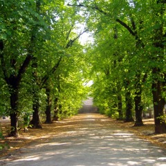 Miguel Luís - Se Cuidas De Mim (Tiago Bettencourt & Mantha)