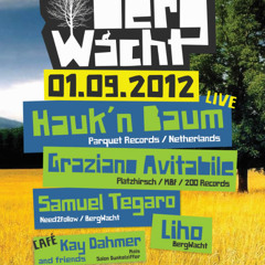 Hauk 'n Baum Live @ BergWacht Artheater Cologne 01.09.2012
