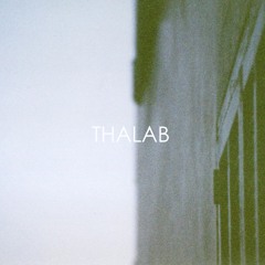 Thalab - Grythe II (Not Me Remix)