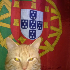 Deep Melange - Mas Que Nada (Enzo Darren & Chris Vegas House Remix) (www.house-music-exclusive.net)