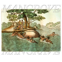 MANGROVE MANGRAVE - CUTS TREE