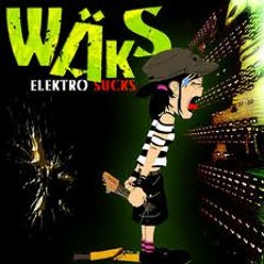 WÄKS - Elektro Sucks (Album Demo Mix)