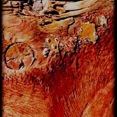 Noiz+Zilenth feat Chaotic Rave System _  the noiz and the rave