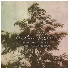 I Don't Want To Be Alone This Christmas