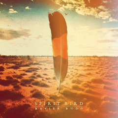 Xavier Rudd - "Spirit Bird"