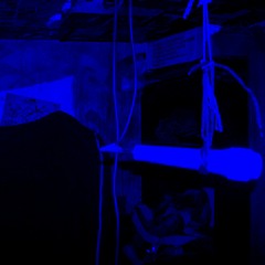 Flefle - pensando en voz alta pasan mis dias