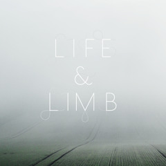 Life & Limb -Cage Seeks Bird (Toy boy remix)