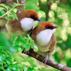 စဥ္းစားထား - ခိုင္ထူး