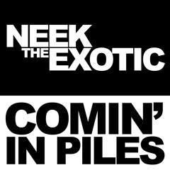 Neek The Exotic feat. DJ JS-1 "Real Deal Hip-Hop"