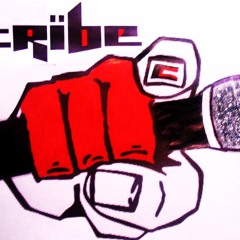 M.C. TRIBE DJ DROP-SAMPLE  2012