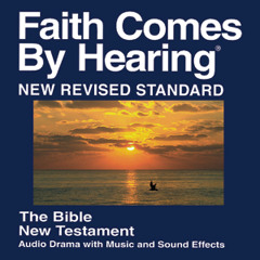 John 1 | NRSV Bible | Faith Comes by Hearing