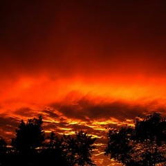 Skyfire (Errah Remix) - Shogun