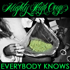 Mighty High Coup - Everybody Knows (produced by Ricky Raw)