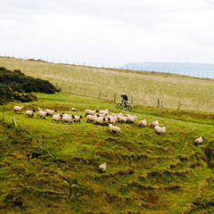 Fairy Tale of New York (The Pogues cover)