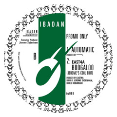 Automatic (excerpt) IBADAN records 2008