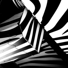 Trop - Could be    Jenny Mayhem ft. Jesse Taylor (Vocal Edit)