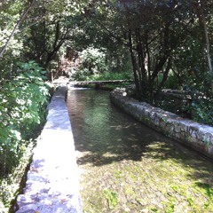 Video Games (Lana Del Rey piano cover)