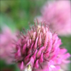 Meditation on the 4 Agreements: Be Impeccable with Your Word