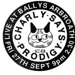 The Prodigy   Charly  Joint Operations Centre Remix