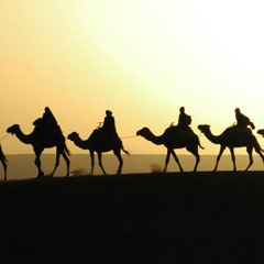 هي العيس نوليها الحنين بصوت السيد الشيخ/ ابراهيم الخليفة