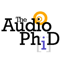 In Which an Earthquake Convicts Seismologists of Manslaughter