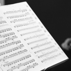 Enigma Quartet Live: Sculthorpe 'Jabiru Dreaming' 2nd Mmt Clip