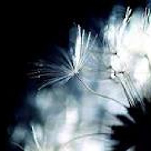 Cloud9ers- Sing To Me (B4 the World Ends)