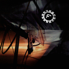 TEXTBEAK - LONGFIN