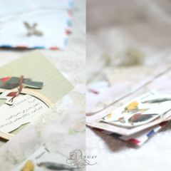 الحب ♥ Love
