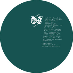B1. Polar International - Silent Backyard