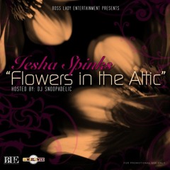 "The Game" Iesha Spinks Feat. T Lae Prod By VidDa176 (Free DL)