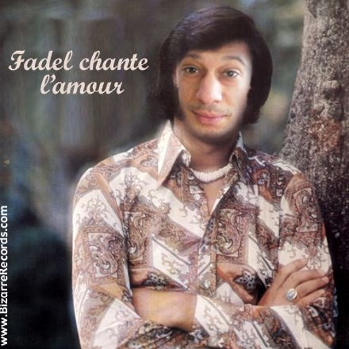 Laisse moi t'aimer (Fadel chante l'amour)