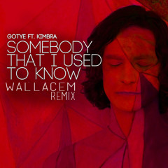 Gotye feat Kimbra - Somebody That I Used To Know (WallaceM Remix)