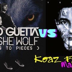 David Guetta vs Alesso - She Wolf Years (Koaz Ft. MB Mashup)