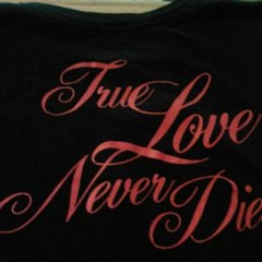 True Love Never Dies - DinkyDeejay RMX SC