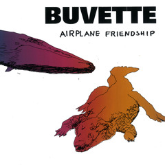 Airplane friendship